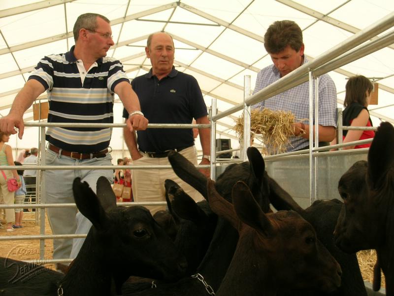 DSCN6828.JPG
