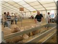 DSCN6831.JPG