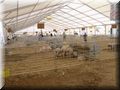 DSCN6871.JPG