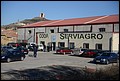 DSC_7294.JPG